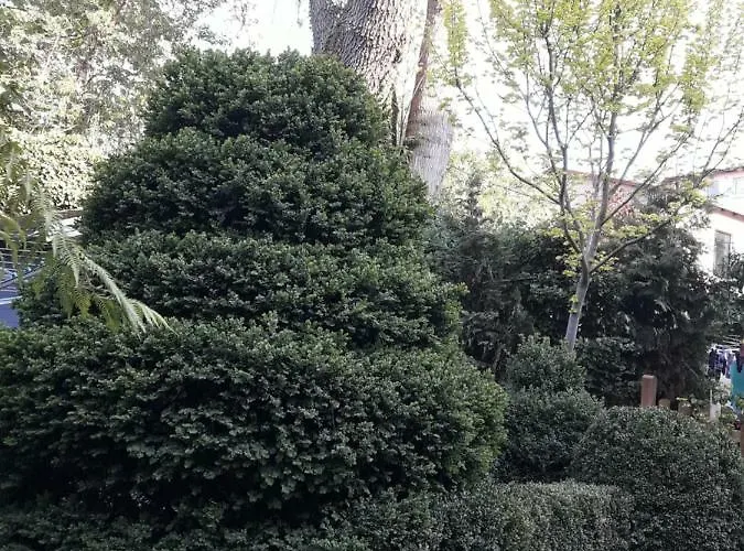 Weissbach Lejlighed Salzwedel